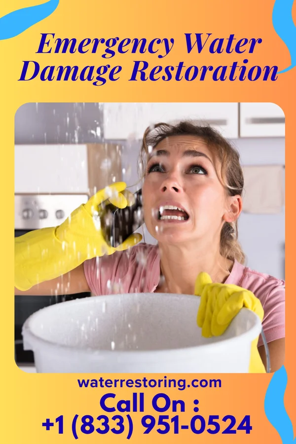 Emergency Water Damage Restoration in Conway Springs, KS