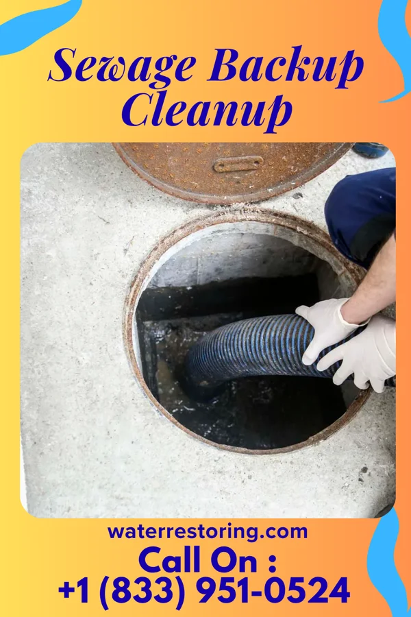 Sewage Backup Cleanup in Conway Springs, KS